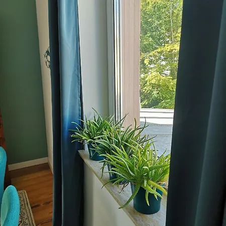 Apartment Monte Baden-Baden